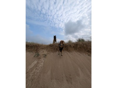 Holiday house No title - Environment photo 20