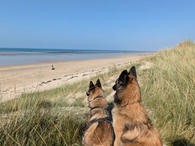 Holiday house No title - Environment photo 22