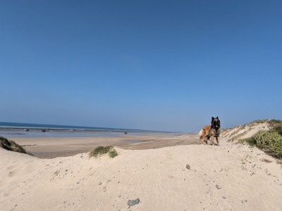 Holiday house No title - Environment photo 23