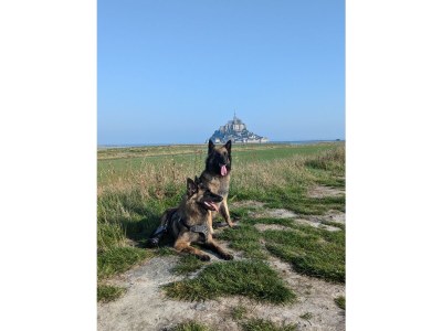 Holiday house No title - Environment photo 24