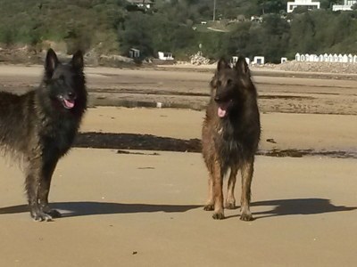 Holiday house No title - Environment photo 25