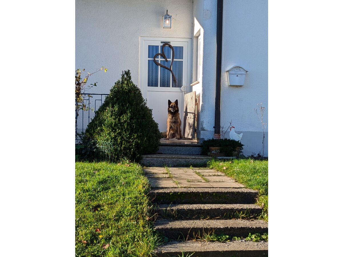 Holiday apartment No title