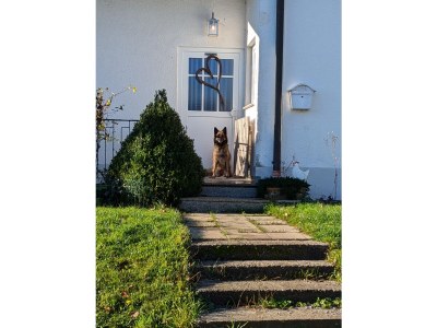 Holiday apartment No title in Heiligenberg - Holiday apartment