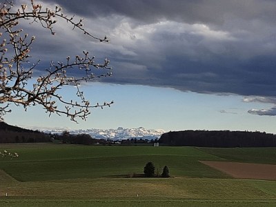 Holiday apartment No title - Features photo 18