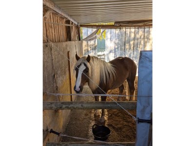 Holiday apartment No title - Environment photo 21