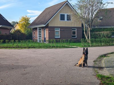 Holiday house No title - Outdoor photo 9