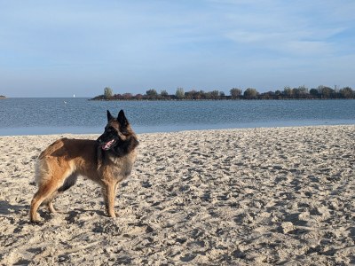 Holiday house No title - Environment photo 26