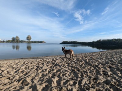 Holiday house No title - Environment photo 27