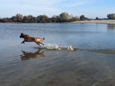 Holiday house No title - Environment photo 28