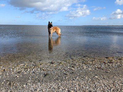 Holiday house No title - Environment photo 29