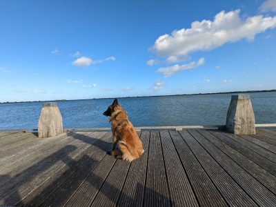 Holiday house No title - Environment photo 30