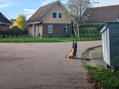 Holiday house No title - Environment photo 35