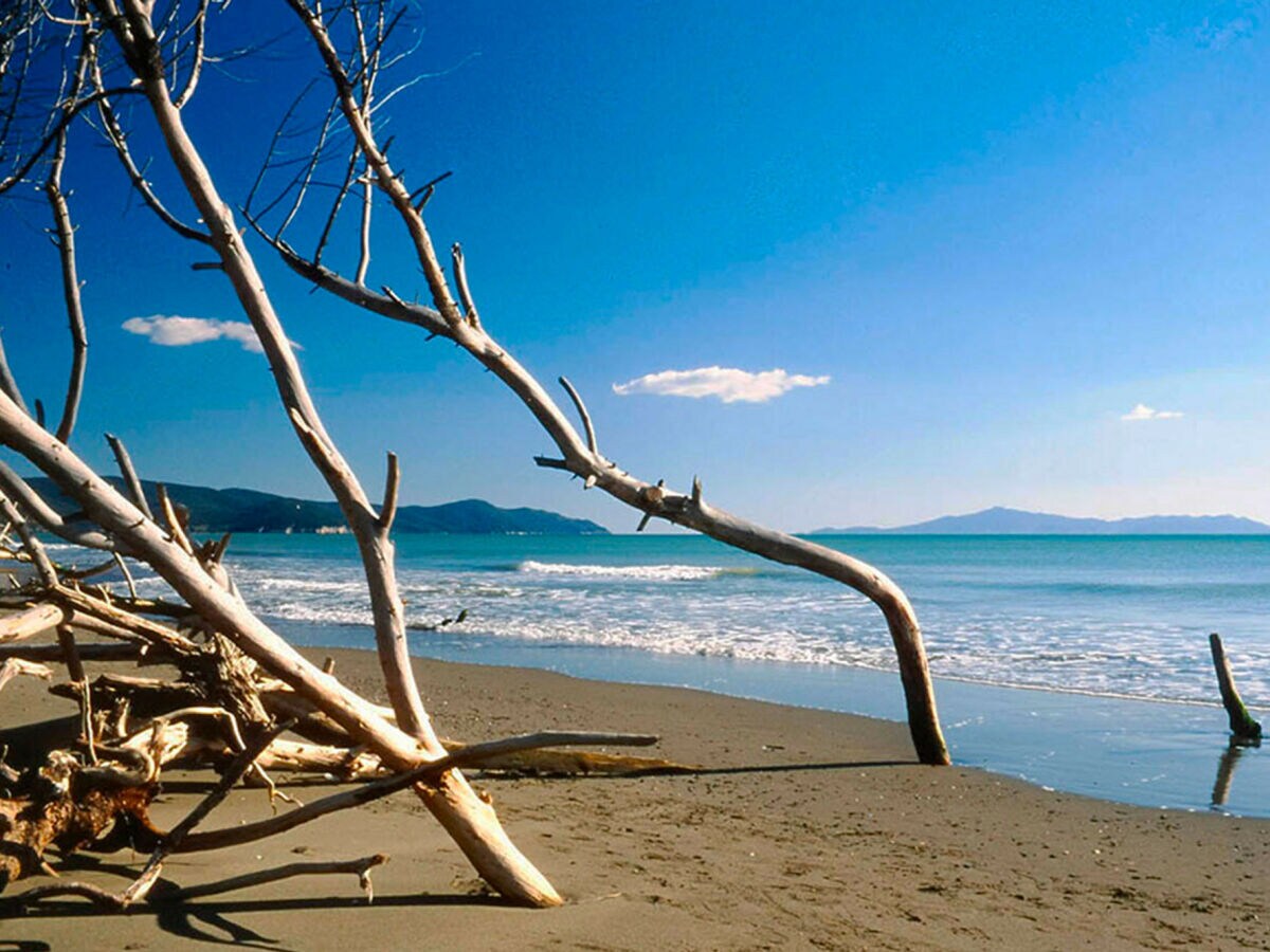 Holiday house Casale Rovereto nel Parco della Maremma - Outdoor photo 2