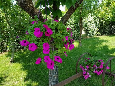 Holiday house Casale Rovereto nel Parco della Maremma - Environment photo 26