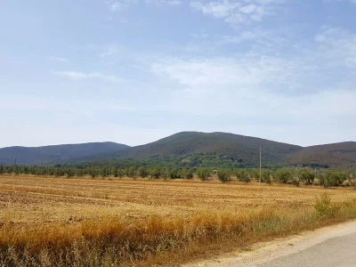 Holiday house Casale Rovereto nel Parco della Maremma - Environment photo 27