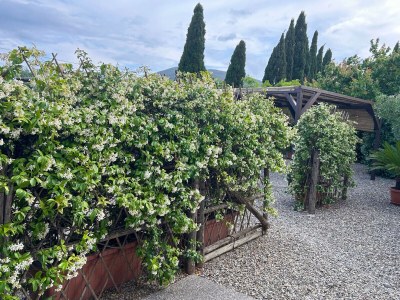 Holiday house Casale Rovereto nel Parco della Maremma - Environment photo 34