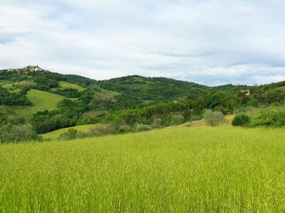 Villa Villa Este con piscina - Environment photo 34