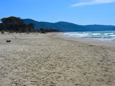 Chalet Villino L'Ulivo Rispescia nel Parco della Maremma - Environment photo 29