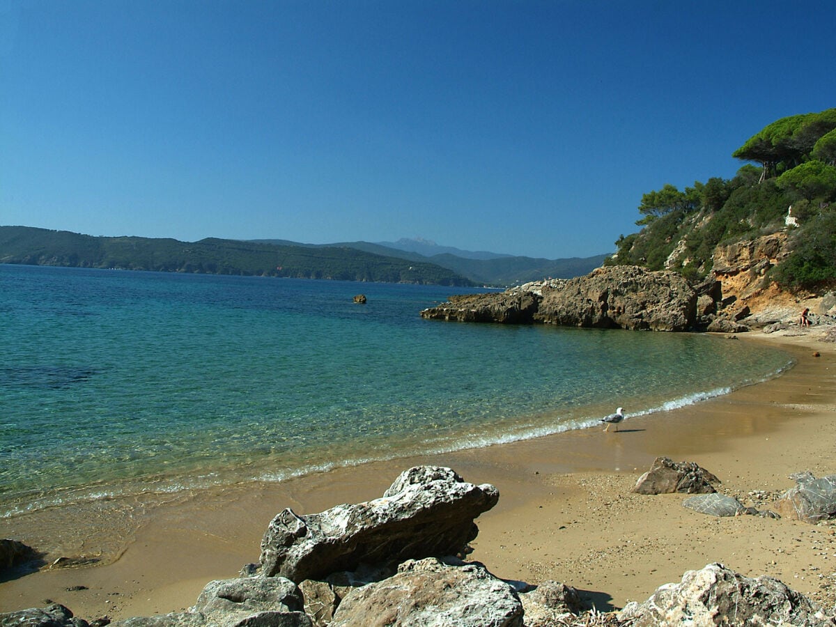 Chalet Villetta le Palme Isola d'Elba
