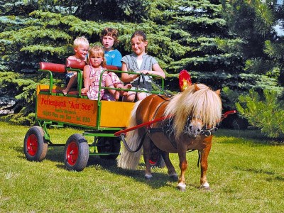 Holiday house Seepark Heidenholz, Plau am See - Outdoor photo 4