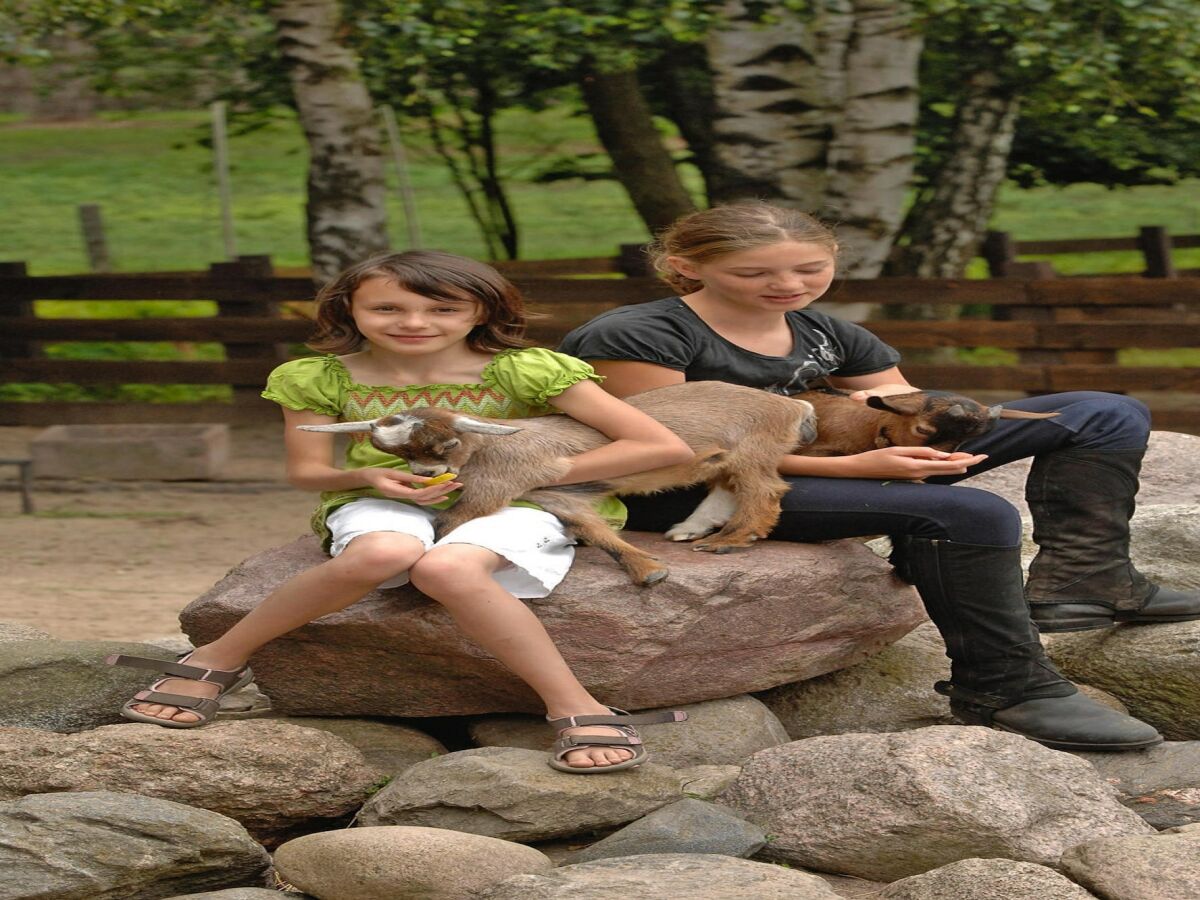 Holiday house Seepark Heidenholz, Plau am See - Outdoor photo 2