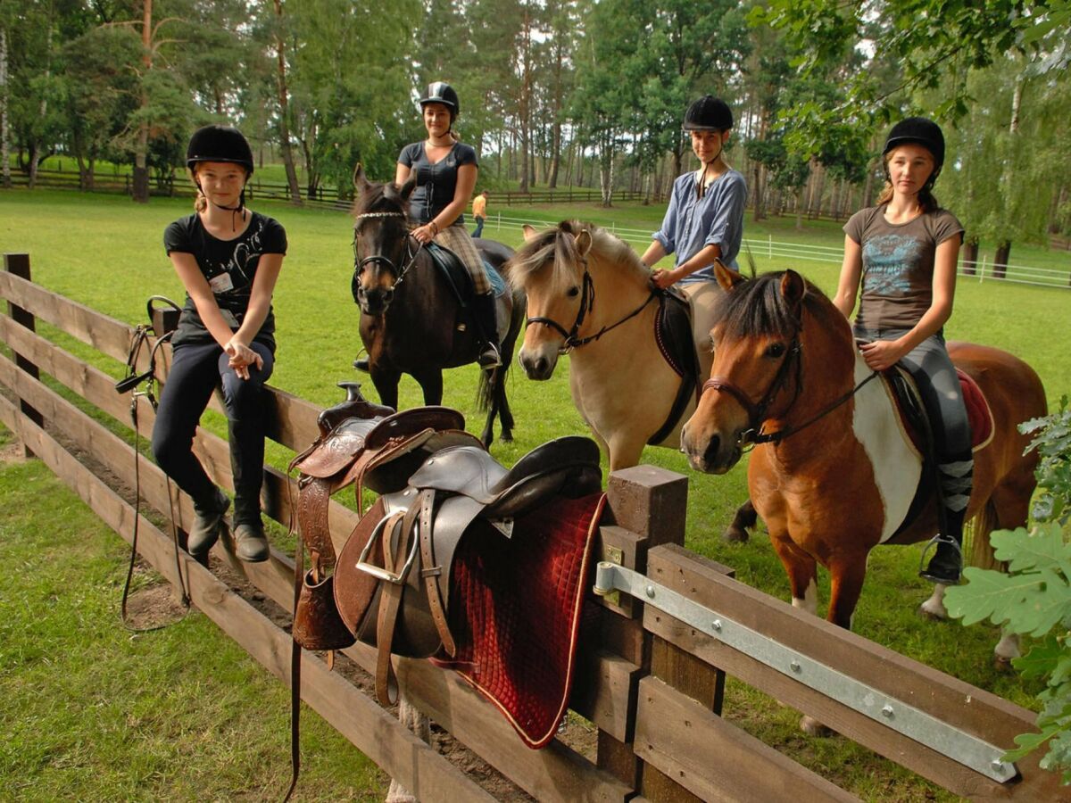 Holiday house Seepark Heidenholz, Plau am See - Outdoor photo 2