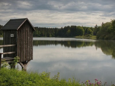 Holiday house Haus beim See - Environment photo 37