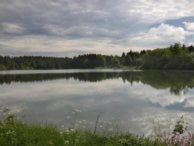 Holiday house Haus beim See - Environment photo 38