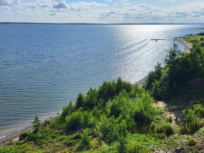 Holiday house 8 Personen Ferienhaus in Roslev - Outdoor photo 21