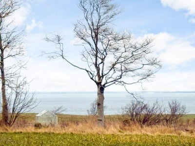 Holiday house 8 Personen Ferienhaus in Roslev - Outdoor photo 23