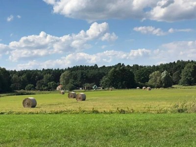 Bungalow Feriendorf am Weinberg, Dobbrikow - Environment photo 15