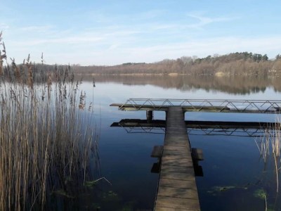 Bungalow Feriendorf am Weinberg, Dobbrikow - Environment photo 26