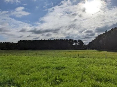 Bungalow Feriendorf am Weinberg, Dobbrikow - Environment photo 30