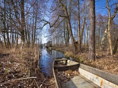 Bungalow Feriendorf am Weinberg, Dobbrikow - Environment photo 25