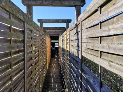 Bungalow Feriendorf am Weinberg, Dobbrikow - Environment photo 26