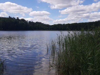 Bungalow Feriendorf am Weinberg, Dobbrikow - Environment photo 28
