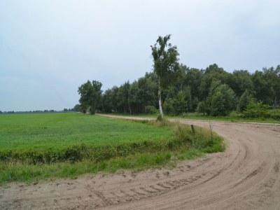 Holiday house Komfortables Ferienhaus mit Garten - Environment photo 14