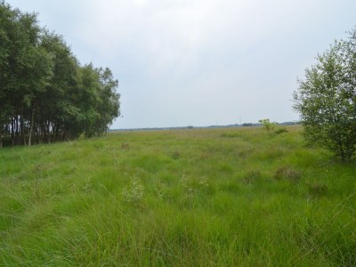 Holiday house Komfortables Ferienhaus mit Garten - Environment photo 16