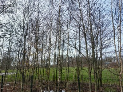 Holiday house Komfortables Ferienhaus mit Garten - Environment photo 18