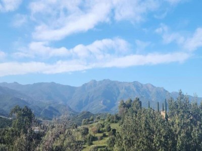 Holiday park Apartment in Corsica near Beaches - Environment photo 21