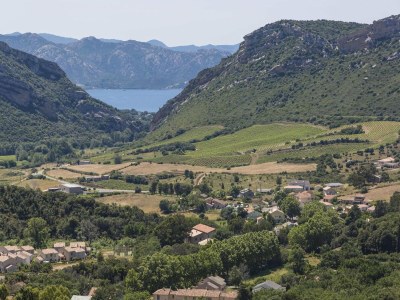 Holiday park Apartment in Corsica near Beaches - Environment photo 22