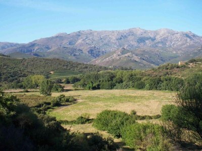 Holiday park Apartment in Corsica near Beaches - Environment photo 31