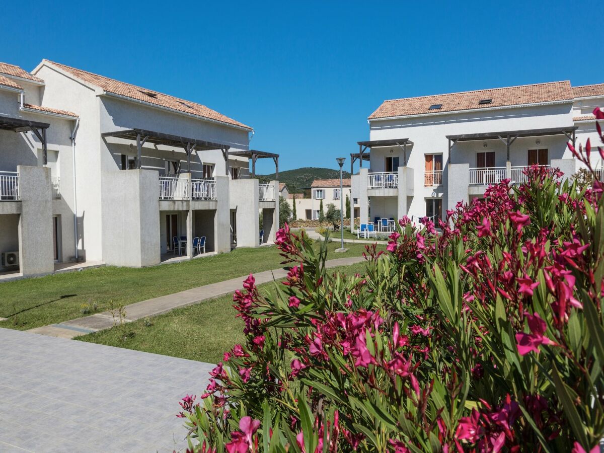 Holiday park Apartment in the hilly landscape of Oletta