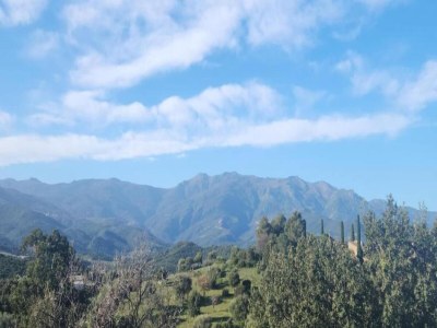 Holiday park Apartment in the hilly landscape of Oletta - Environment photo 28