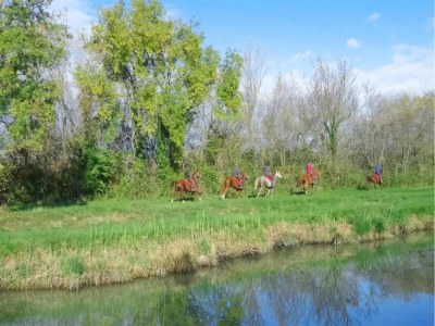 Holiday park Maisonette in Aigues-Mortes near Camargue - Environment photo 14