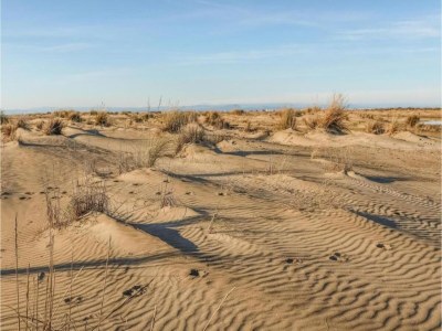 Holiday park Maisonette in Aigues-Mortes near Camargue - Environment photo 24