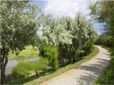 Holiday park Modern Seaside Apartment - Environment photo 29