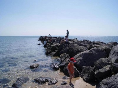 Holiday park Apartment in France near Serene Beaches - Environment photo 19