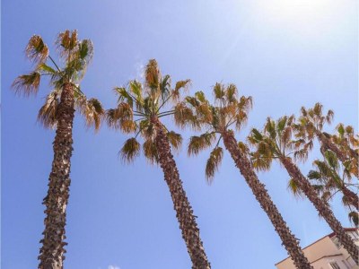 Holiday park Entspanntes Leben am Strand - Environment photo 46