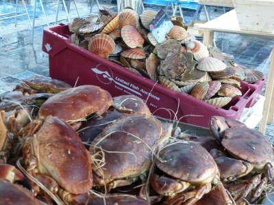 Holiday house Holiday Home in Binic near Sandy Beach - Environment photo 22